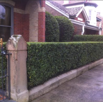 Gallery-stanmore-after01