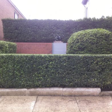 Gallery-stanmore-after03