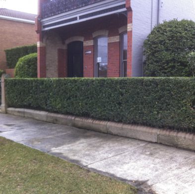 Gallery-stanmore-after05