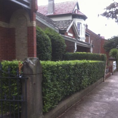 Gallery-stanmore-before01
