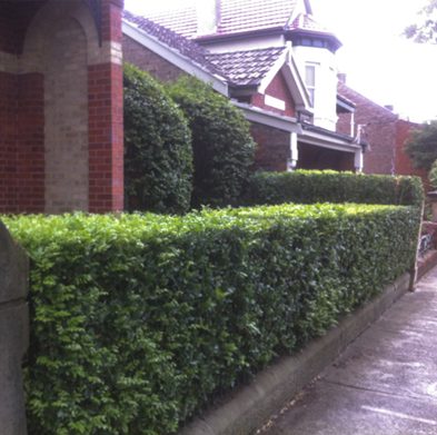 Gallery-stanmore-before03