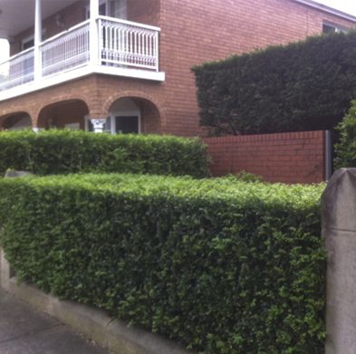 Gallery-stanmore-before04