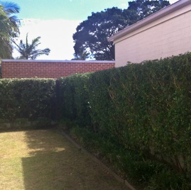 gallery-cabarita-after01