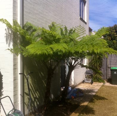 gallery-cabarita-after03