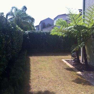 gallery-cabarita-after04