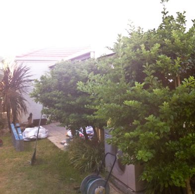 gallery-cabarita-before03