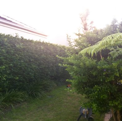 gallery-cabarita-before04