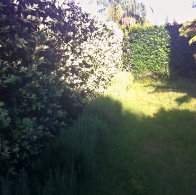 gallery-cabarita-before05