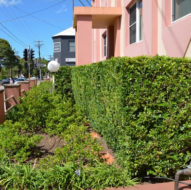 gallery-drummoyne-after05