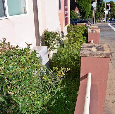 gallery-drummoyne-before03