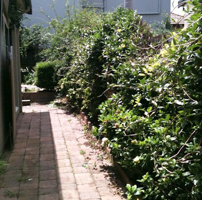 petersham-before01
