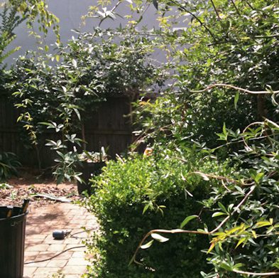 petersham-before02