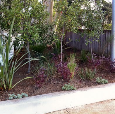 strathfield-after03