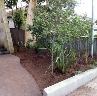 strathfield-after04