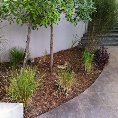 strathfield-after05