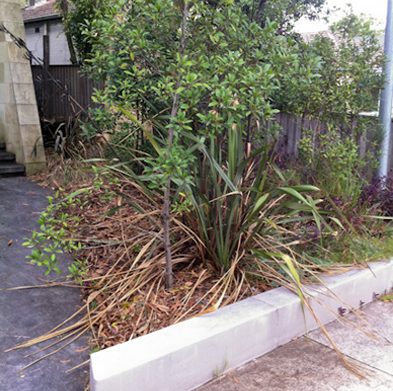 strathfield-before01