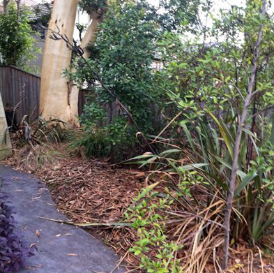 strathfield-before02