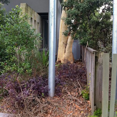 strathfield-before03