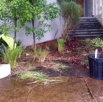 strathfield-before04
